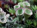 35-DSC00137-