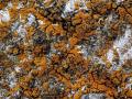 36-DSC00324-