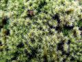 39-DSC00161-