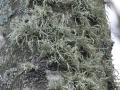 41-DSC09712-