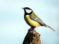 42-DSC09797-