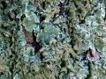 44-DSC00366-