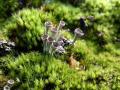 47-DSC00262-