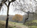 20-DSC05203-Blomberg.