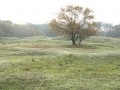 22-DSC05208-Blomberg.