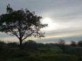 26-DSC05217-Zegveld.