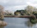 01-DSC08507-