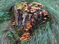 04-DSC07929-