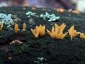 05-DSC08069-