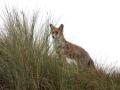 06-DSC07990-
