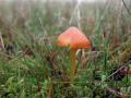 10-DSC08036-
