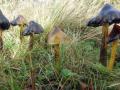 11-DSC08481-