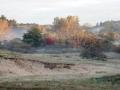 13-DSC08187-