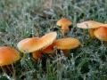 16-DSC08212-