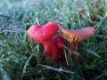 17-DSC08218-