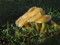 20-DSC08273-