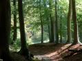 27-DSC08156-