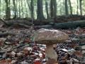 32-DSC08173-