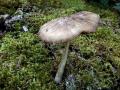 06-DSC06626-