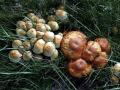 09-DSC06545-