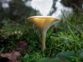 11-DSC06771-