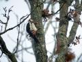 16-DSC06804-