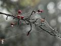 18-DSC06874-