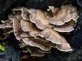 21-DSC06938-