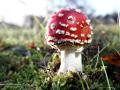 27-DSC07000-