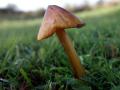 30-DSC06990-