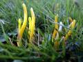 42-DSC07100-