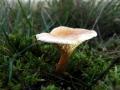 45-DSC07088-