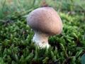 47-DSC06997-