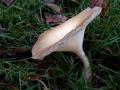 48-DSC07023-