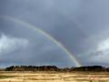 52-DSC07212-