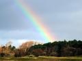 53-DSC07221-