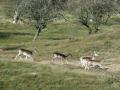64-DSC07428-