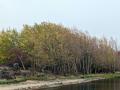 66-DSC07239-