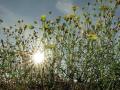02-DSC05087-