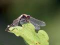 08-DSC05027-