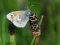 09-DSC04318-