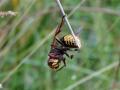 11-DSC04834-