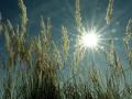 13-DSC05229-