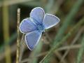 20-DSC04716-