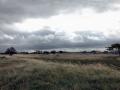 25-DSC04513-