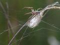 31-DSC04760-