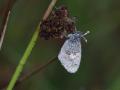 33-DSC04735-