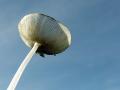 39-DSC04954-