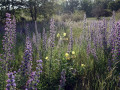 01-DSC03054-