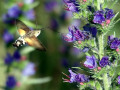 05-DSC02997-